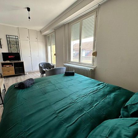 Cosy Studio Mulhouse Extérieur photo